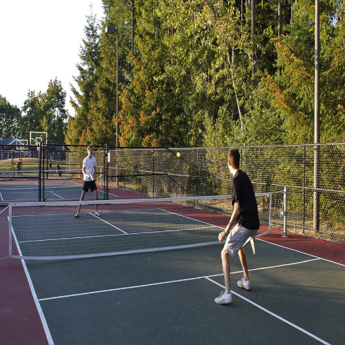 Pickle Ball